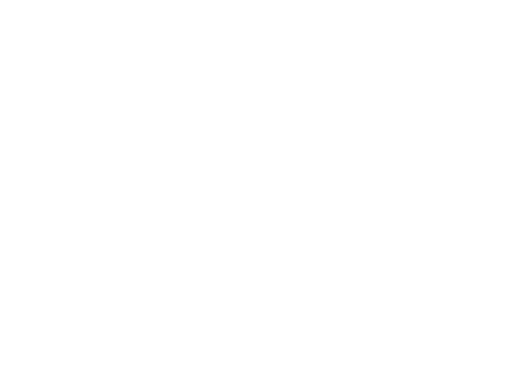 MWT Mediterranean Wind Turbines Srl
